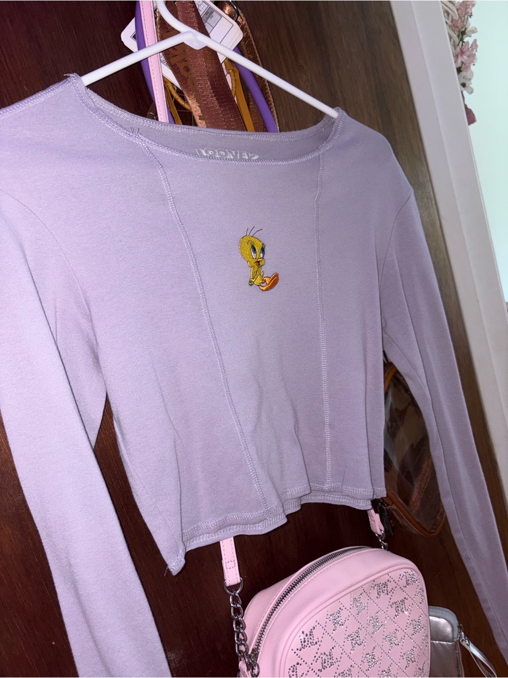 Tweety Embroidered Long Sleeve Tee - Lavender